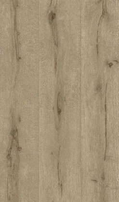Vliestapete Rasch Holz-Optik hellbraun 514421