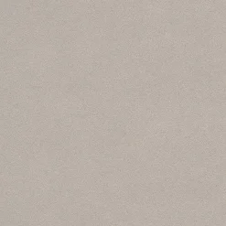 Vliestapete Rasch Putz-Optik taupe 479409