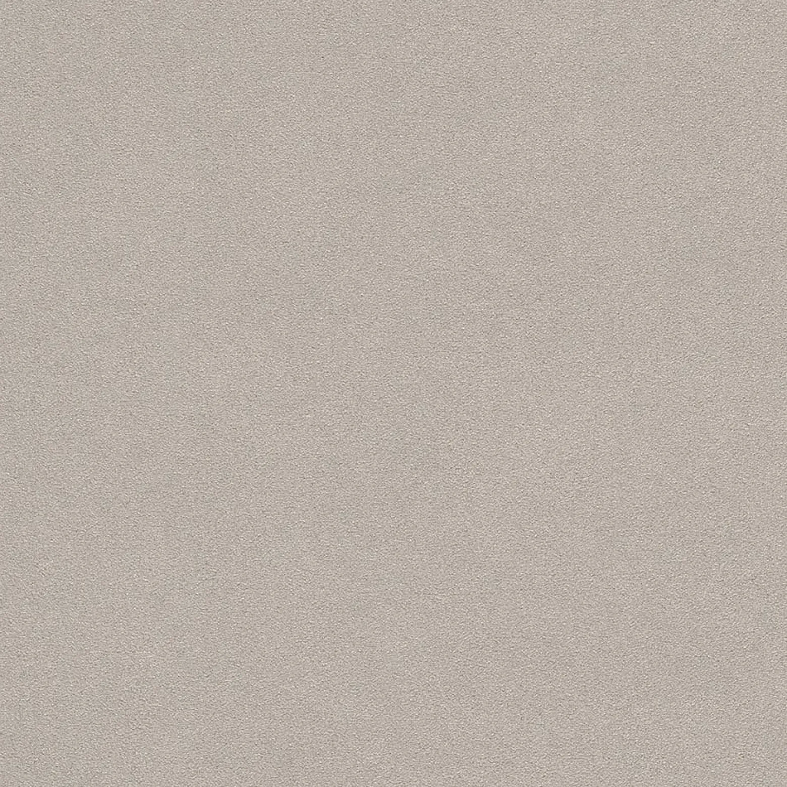 Vliestapete Rasch Putz-Optik taupe 479409