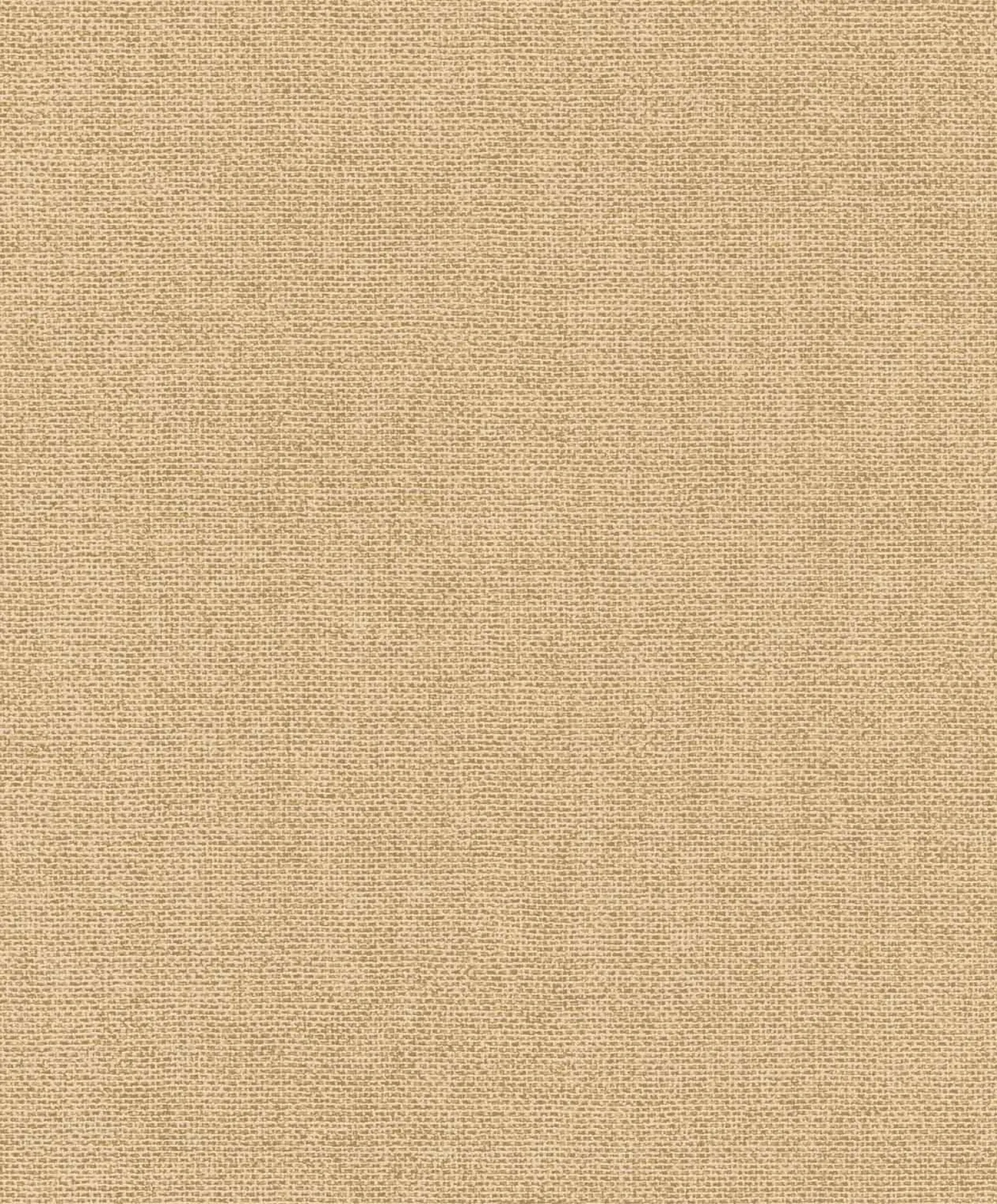 Vliestapete Rasch Uni Struktur Beige Braun 312171