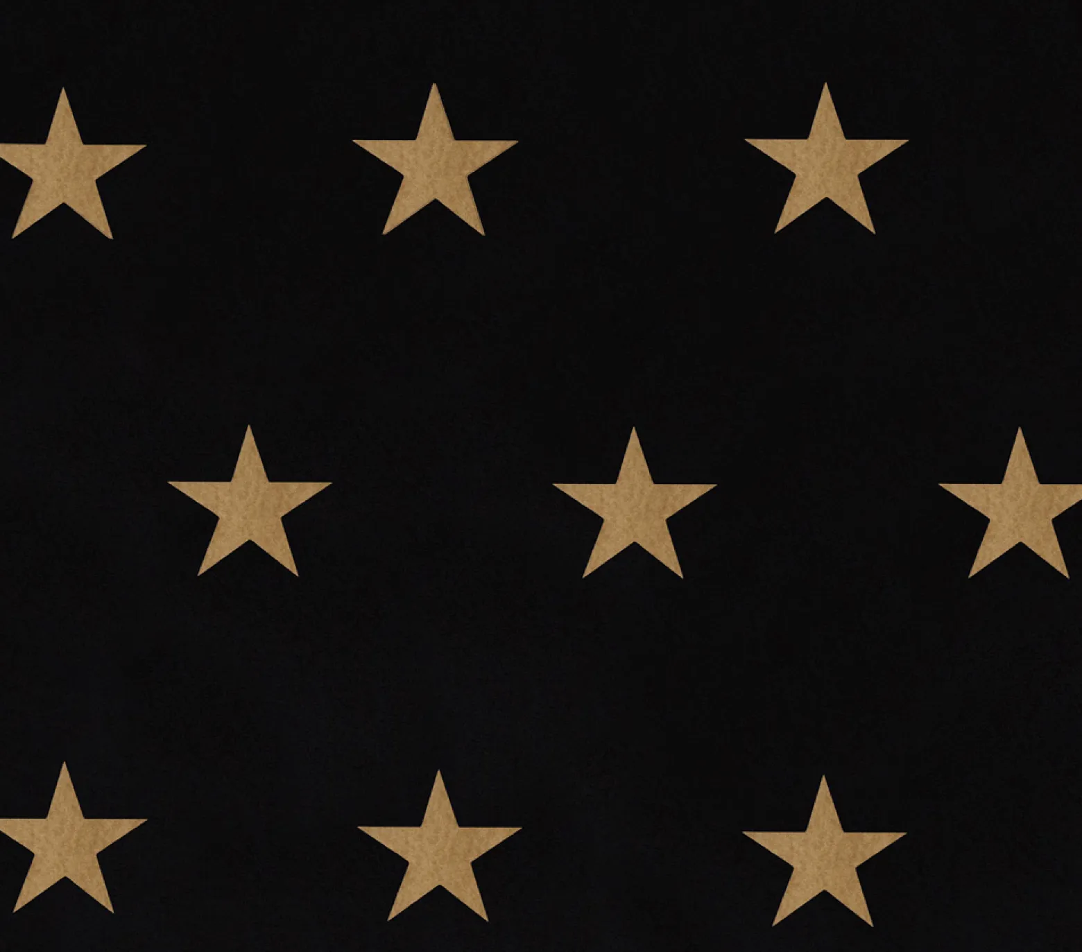 Vliestapete Sterne schwarz gold HOMEFACTO:RI 34760-4