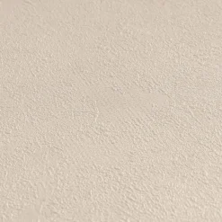 Vliestapete Struktur Putzoptik Beige Glanz 36924-9
