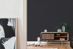 Vliestapete texturiert Uni schwarz 37952-2