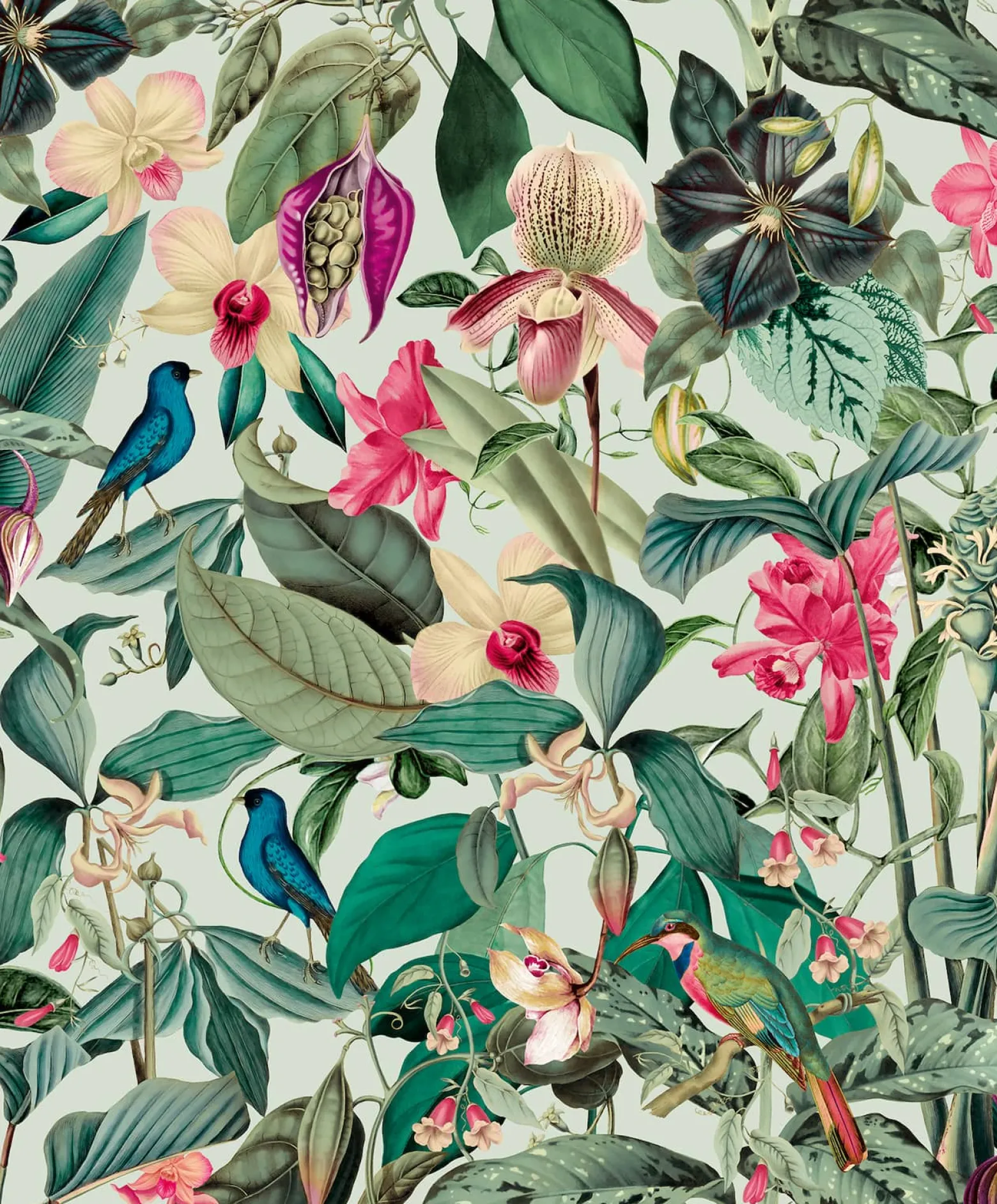 Vliestapete Tropisch Floral Dschungel Grün Rosa 81684