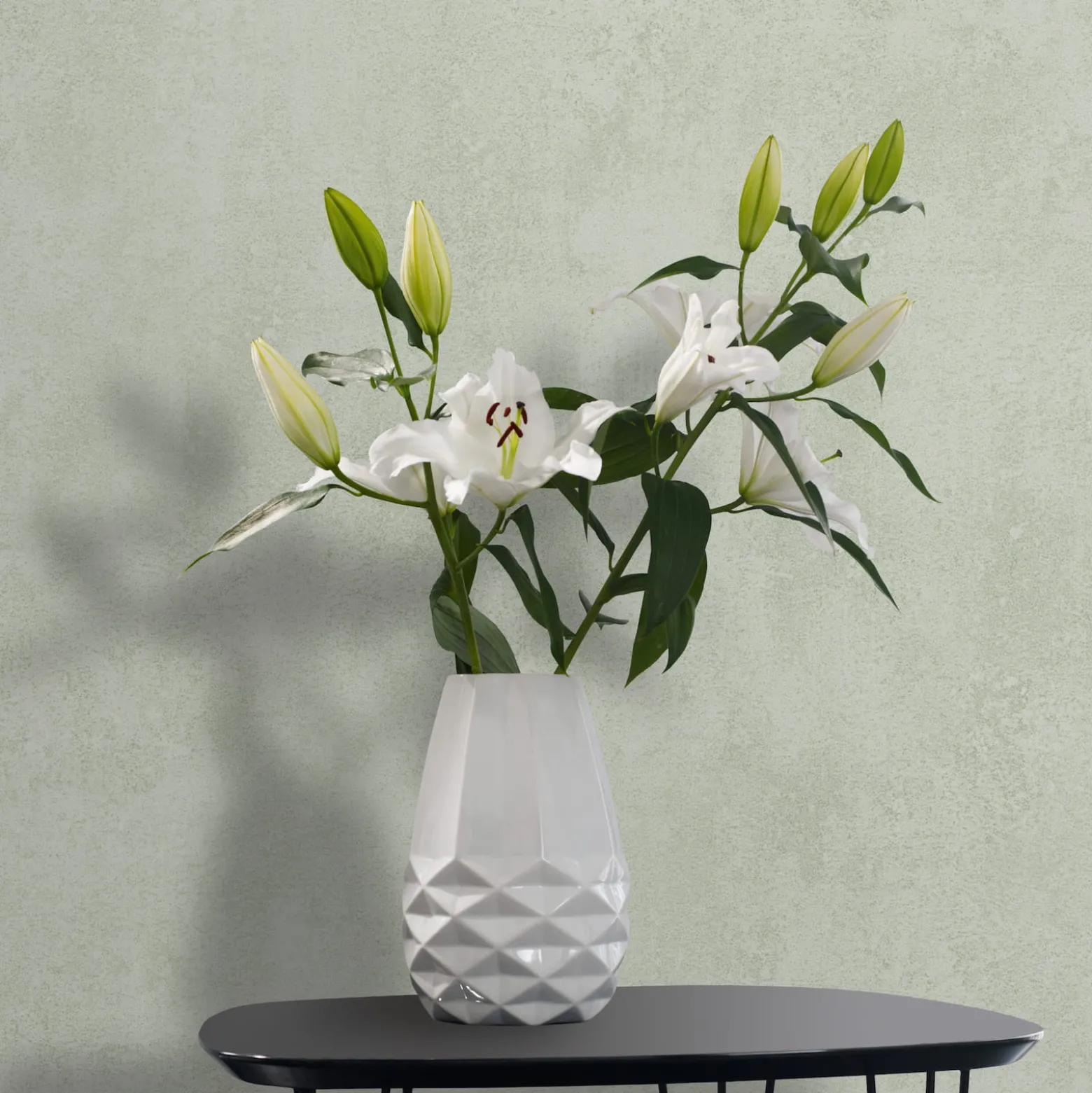 Vliestapete Uni Betonoptik Modern Grün Creme 82468