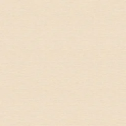 Vliestapete Uni Design apricot AS Creation 30689-6
