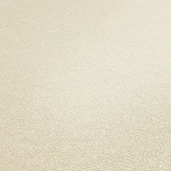 Vliestapete Uni Struktur Beige 35866-4